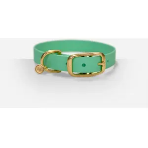 Collier pour Chien pas cher