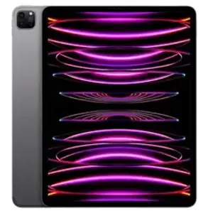 Apple Ipad Pro 5 256 Go Gris Sideral Grade A pas cher