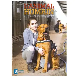 FILMS DU PARADOXE L'animal humain DVD pas cher