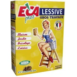 ECA pros Lessive gros travaux - 1.25kg - essence de pin pas cher