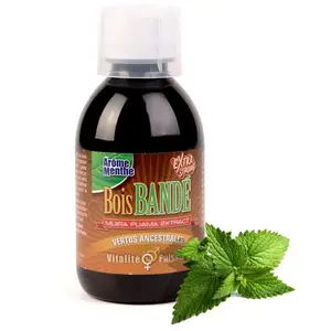 Bois Bandé Vertus Ancestrales 200 ml Menthe