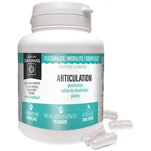 Dayang Complexe Articulation 120 gélules pas cher
