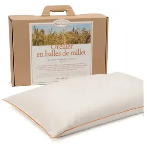 Comparateur de prix : Oreiller ferme en millet biologique, MILLE OREILLERS 40 x 60 cm 