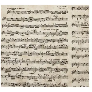Papier Lokta 51 x 76 cm 150 g/m² Notes Musique