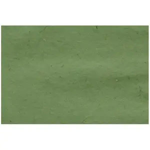 Papier Lokta 80 g/m² 51 x 76 cm Vert bambou pas cher