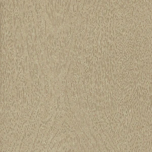 Esprit Papier Paper Nature bois 51 x 76 cm 120 g/m² Érable pas cher