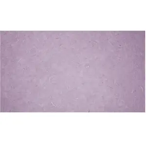 Papier mûrier 47 x 64 cm 25 g/m² Gris pas cher
