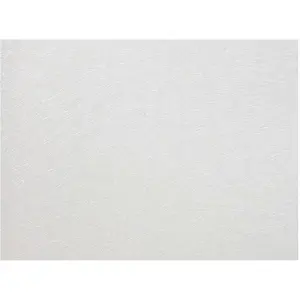 Papier cuir Lézard 50 x 70 cm 188 g/m² Blanc
