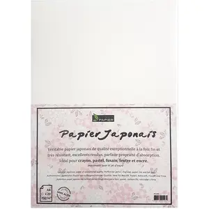 Papier japonais 70 g/m² Lot de 20 feuilles Blanches A4 21 x 29.7 cm pas cher