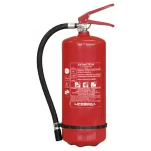 Extincteur à poudre 6kg Lifebox avec manomètre de pression pour feux de classe ABC pas cher