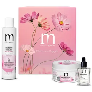 Coffret cheveux colorés Patrice Mulato pas cher