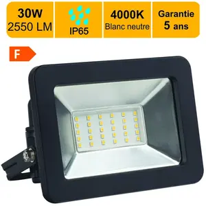 ARCOTEC Projecteur LED 30W 2550 LM 4000K IP65 connexion en direct - ga...