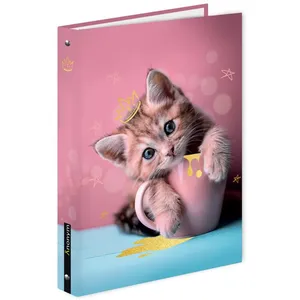 Classeur scolaire A4 ANONYM Petit Chat 4 anneaux pas cher