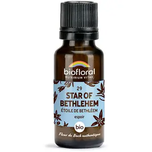Comparateur de prix : Biofloral 29 Star Of Bethlehem Etoile De Bethleem Granules Bio Fleur D...