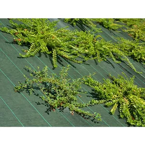 Toile de paillage - Vert - 130gr/m² - Petite dimension Pliés 2.10m x 10m VertVendu paramazon