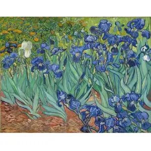 Figured'Art Peinture par Numéro Adulte Van Gogh Iris - Activité Manuelle Kit de Loisir Créatif DIY Numéro d'Art Complet - 40x50cm sans châssis en bois