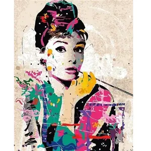 Figured'Art Peinture par Numéro Adulte Audrey - Activité Manuelle Kit de Loisir Créatif DIY Numéro d'Art Complet - 40x50cm sans châssis en bois pas cher