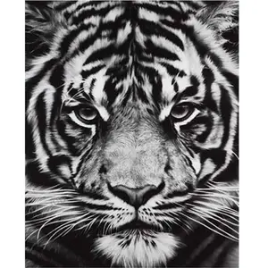 Figured'Art Peinture par Numéro Adulte Tête de Tigre en noir et blanc - Activité Manuelle Kit de Loisir Créatif DIY Numéro d'Art Complet - 40x50cm sans châssis en bois pas cher
