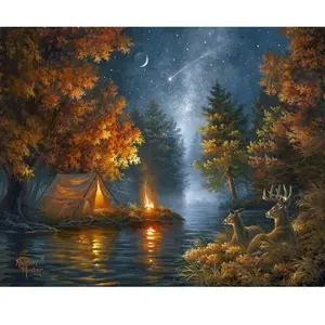 Figured'Art Peinture par Numéro Adulte Camping sous une nuit etoilée - Activité Manuelle Kit de Loisir Créatif DIY Numéro d'Art Complet - 40x50cm sans châssis en bois pas cher