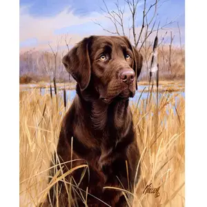 Figured'Art Peinture par Numéro Adulte Chien labrador - Activité Manuelle Kit de Loisir Créatif DIY Numéro d'Art Complet - 40x50cm sans châssis en bois