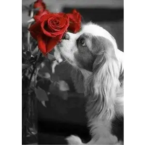 Figured'Art Diamond Painting - Figured’Art - Chien et Rose - Kit Complet 40x50cm - Diamants Carrés - Accessoires Inclus pas cher