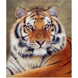 Comparateur de prix : Figured'Art Broderie Diamant 40 x 50 cm Regard de Tigre