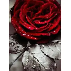 FIGURED'ART Broderie diamant : Rose Rouge - sans chassis en bois FiguredArt-DP-488 pas cher