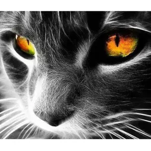 Figured'Art Peinture au numéro : Chat aux yeux perçants  - sans châssis en bois pas cher