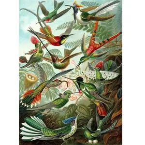 Figured'Art Peinture au numéro : Tous les oiseaux  - sans châssis en bois pas cher