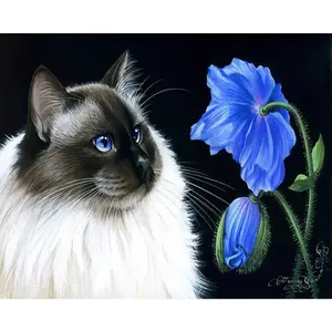 Figured'Art Peinture par Numéro Adulte Face à face floral - Activité Manuelle Kit de Loisir Créatif DIY Numéro d'Art Complet - 40x50cm sans châssis en bois pas cher