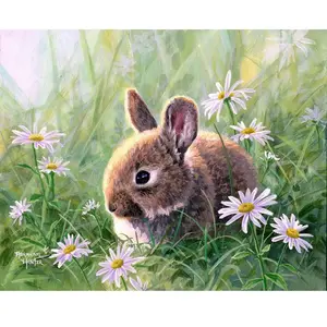 Figured'Art Peinture par Numéro Adulte avec Cadre Lapin et marguerites - Activité Manuelle Kit de Loisir Créatif DIY Numéro d'Art Complet - 40x50cm toile tendue sur châssis pas cher