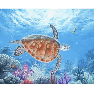 Figured'Art Peinture par Numéro Adulte avec Cadre Tortue en ballade - Activité Manuelle Kit de Loisir Créatif DIY Numéro d'Art Complet - 40x50cm toile tendue sur châssis