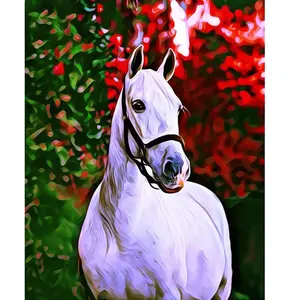 Peinture au numéro : Cheval et fond coloré - sans châssis en bois