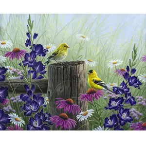 Figured'Art Peinture par Numéro Adulte avec cadre Couple de Chardonneret - Kit DIY Numéro d'Art - 40x50cm toile tendue sur châssis pas cher
