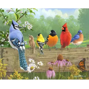 Figured'Art Peinture par Numéro Adulte avec Cadre Oiseaux sur la barrière - Activité Manuelle Kit de Loisir Créatif DIY Numéro d'Art Complet - 40x50cm toile tendue sur châssis pas cher