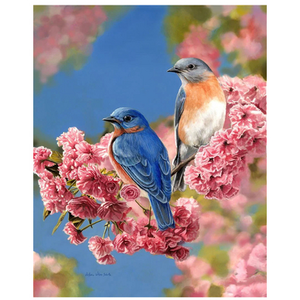 Figured'Art Peinture par numéros Couple d'oiseaux bleus pas cher