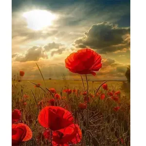 Figured'Art Peinture par Numéro Adulte Fleurs sous le Soleil - Activité Manuelle Kit de Loisir Créatif DIY Numéro d'Art Complet - 40x50cm sans châssis en bois pas cher