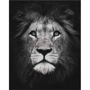 Figured'Art Peinture par Numéro Adulte Tête de lion en noir et blanc - Activité Manuelle Kit de Loisir Créatif DIY Numéro d'Art Complet - 40x50cm sans châssis en bois