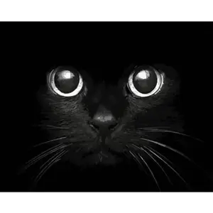 Figured'Art Peinture par Numéro Adulte Tête de Chat noir - Activité Manuelle Kit de Loisir Créatif DIY Numéro d'Art Complet - 40x50cm sans châssis en bois pas cher