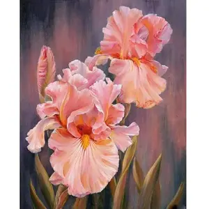 Figured'Art Peinture par Numéro Adulte Iris rosé - Activité Manuelle Kit de Loisir Créatif DIY Numéro d'Art Complet - 40x50cm sans châssis en bois pas cher