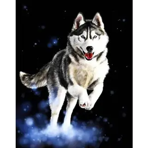 Figured'Art Peinture par Numéro Adulte Husky - Activité Manuelle Kit de Loisir Créatif DIY Numéro d'Art Complet - 40x50cm sans châssis en bois pas cher