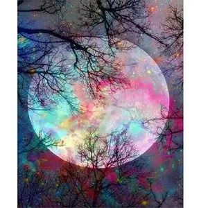 Figured'Art Peinture par Numéro Adulte Pleine Lune aux reflets multicolores - Kit DIY Numéro d'Art - 40x50cm sans châssis pas cher