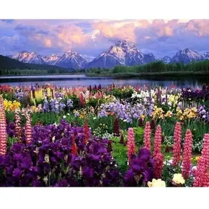 Figured'Art Peinture par Numéro Adulte Fleurs et Lac au pied de la Montagne - Kit DIY Numéro d'Art - 40x50cm sans châssis pas cher