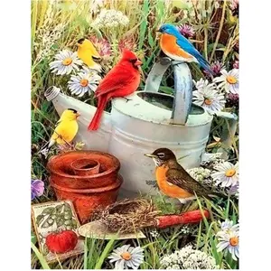 Comparateur de prix : Figured'Art Broderie Diamant 40 x 50 cm Oiseaux dans le Jardin