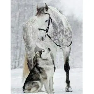 Figured'Art Diamond Painting - Figured’Art - Cheval et Loup dans la Neige - 40x50cm - Kit Complet - Diamants Carrés pas cher