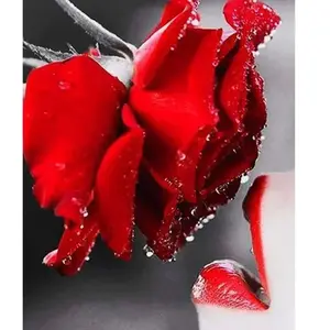 Figured'Art Figured’Art Diamond Painting Broderie Diamant 40x50cm Toile Entière Roulée avec Strass Perles Carrés - Bouche et Rose rouge - Kit Complet 5D DIY Activité Manuelle Loisirs Créatifs Adultes pas cher