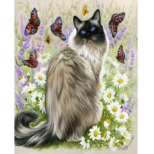 Figured'Art Peinture par Numéro Adulte avec Cadre Découverte des papillons - Activité Manuelle Kit de Loisir Créatif DIY Numéro d'Art Complet - 40x50cm toile tendue sur châssis pas cher