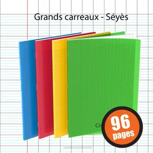 SURDISCOUNT Lot de 4 cahiers - 24x32(cm) - Grands carreaux - 96 pages ... pas cher
