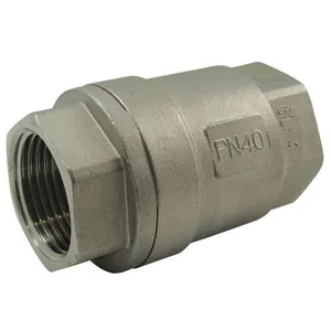 MULTITANKS Clapet de retenue toutes positions en inox 316 3/4'' pas cher