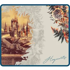 Tapis de souris LEXIP X WARNER - HARRY POTTER - FLORAL TAPIS L pas cher